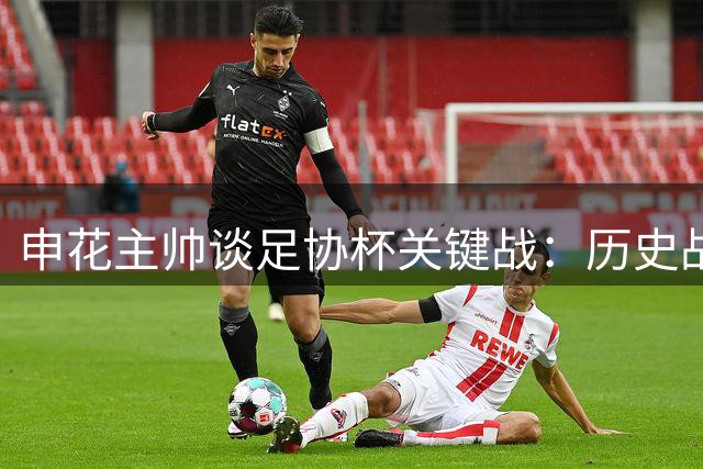 申花主帅谈足协杯关键战：历史战绩无意义，大连队不容小觑